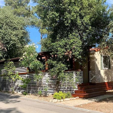 Pine And Lavander Home Biograd Na Moru Exterior foto