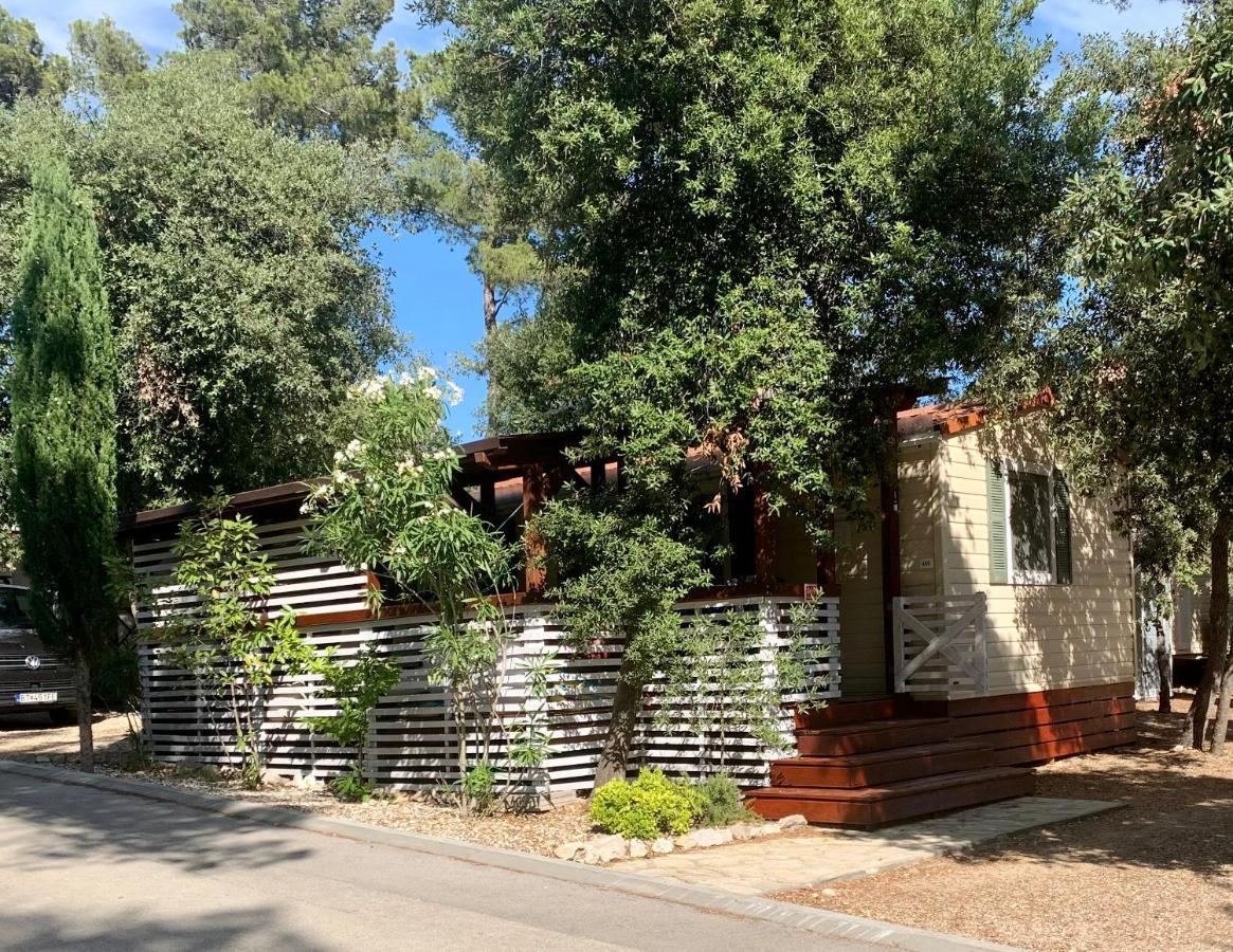 Pine And Lavander Home Biograd Na Moru Exterior foto